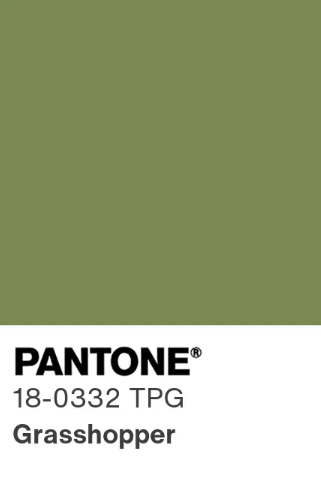 ÇİMEN YEŞİLİ ECZACI FORMASI LİKRALI SCRUBS TAKIM (GRASSHOPPER)