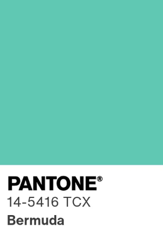 MİNT YEŞİLİ AİLE SAĞLIĞI ÇALIŞAN FORMASI LİKRALI SCRUBS TAKIM (BERMUDA)