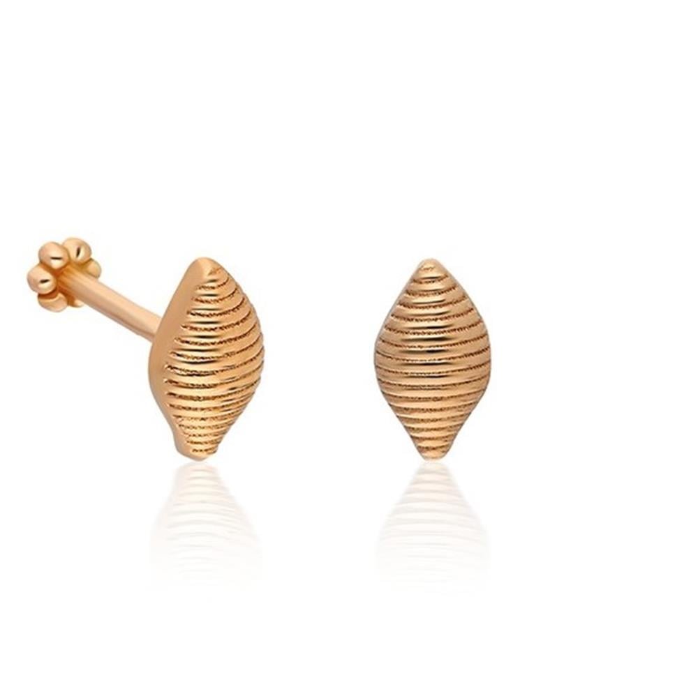 Deniz Kabuğu Piercing