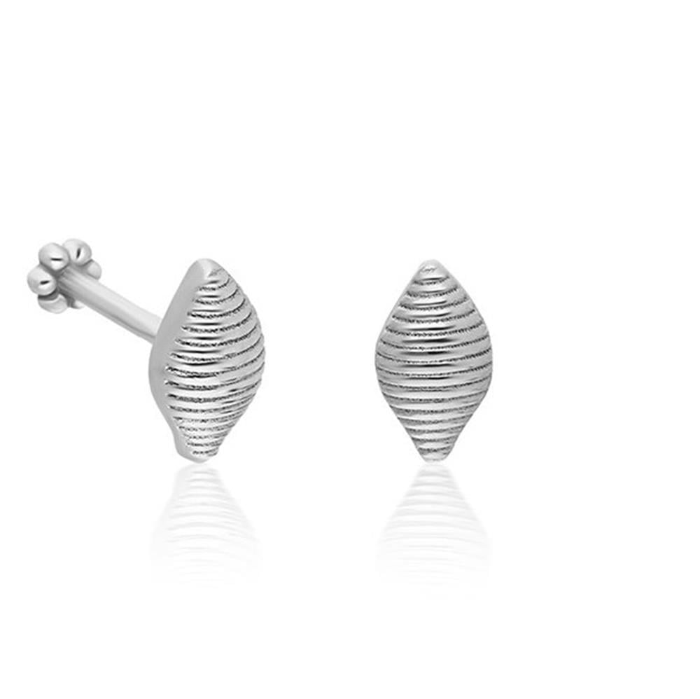 Deniz Kabuğu Piercing