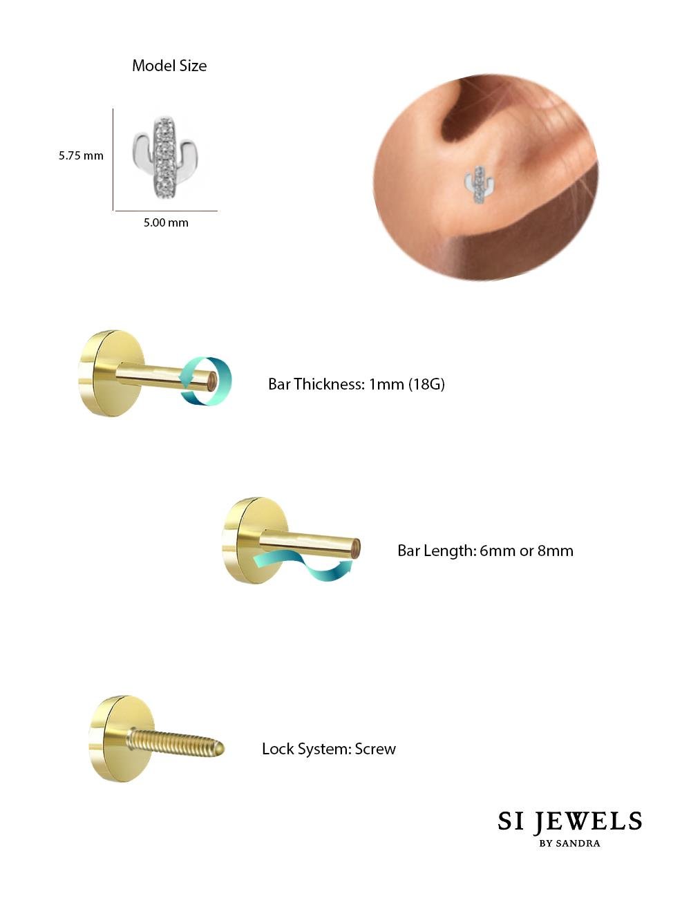 Mini Kaktus Piercing