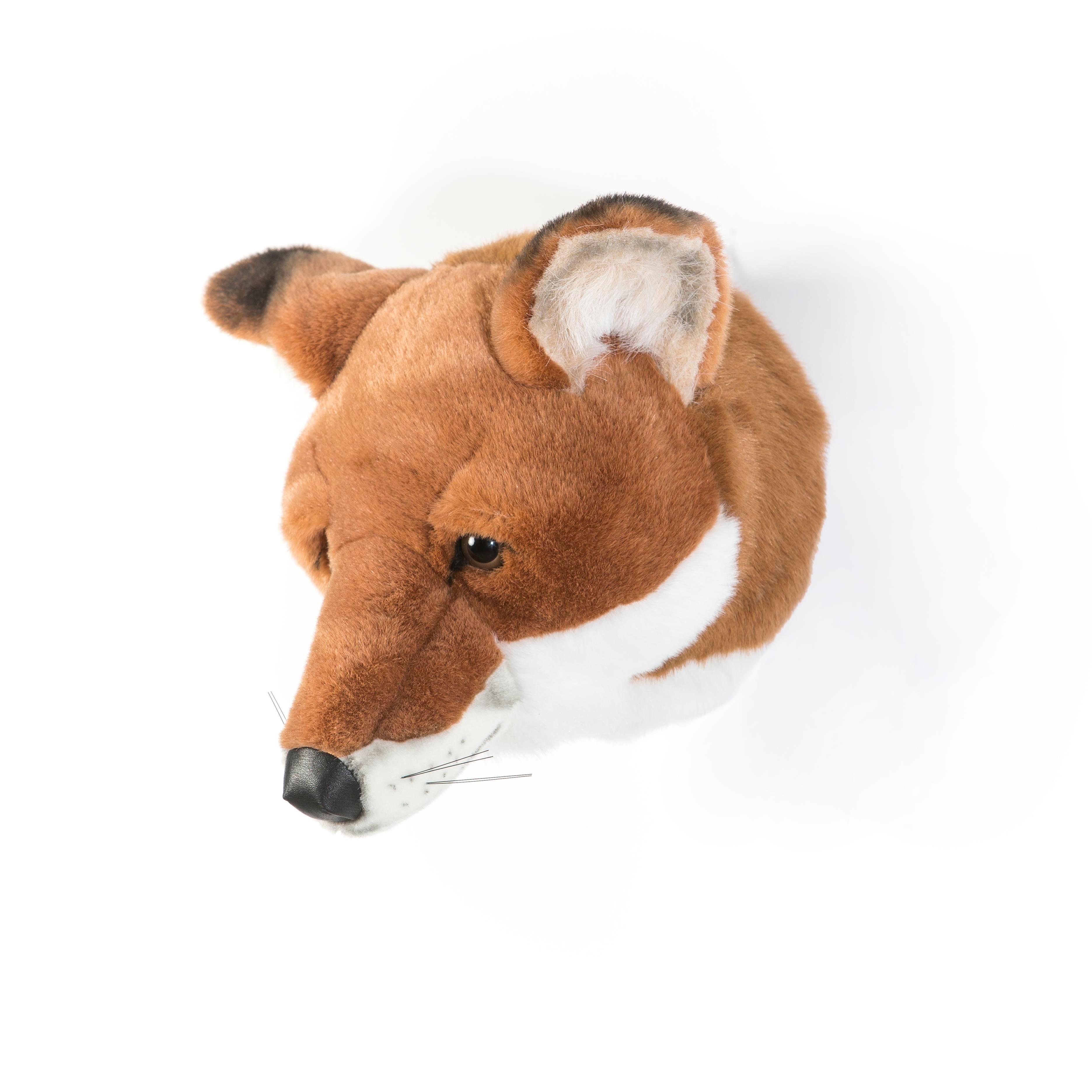 Duvar Aksesuarı, Tilki Peluş Duvar Büstleri Wild & Soft