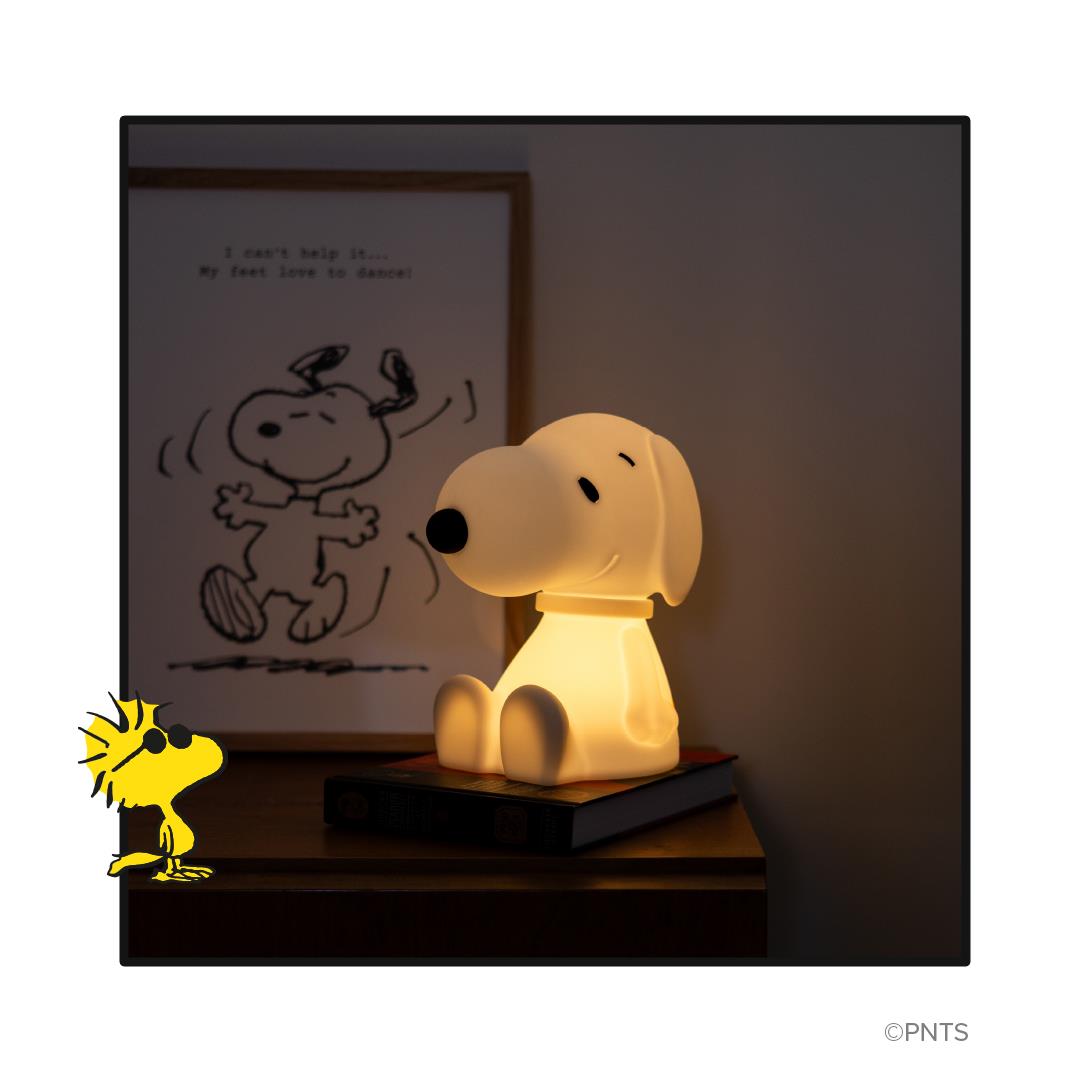 Aydınlatma, Snoopy First Light Aydınlatmalar MR MARIA