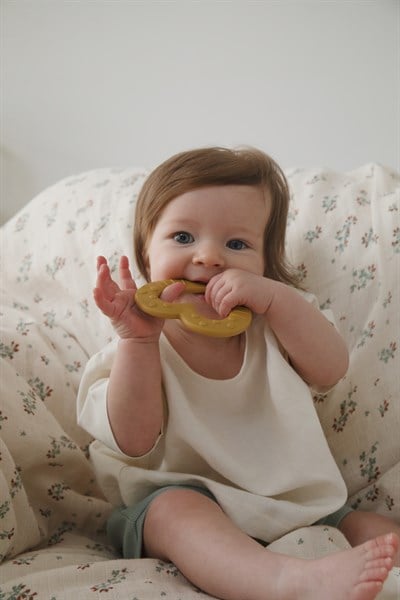 Bibs Bibs Baby Bites Heart Diş Kaşıyıcı, Mustard Oyuncak