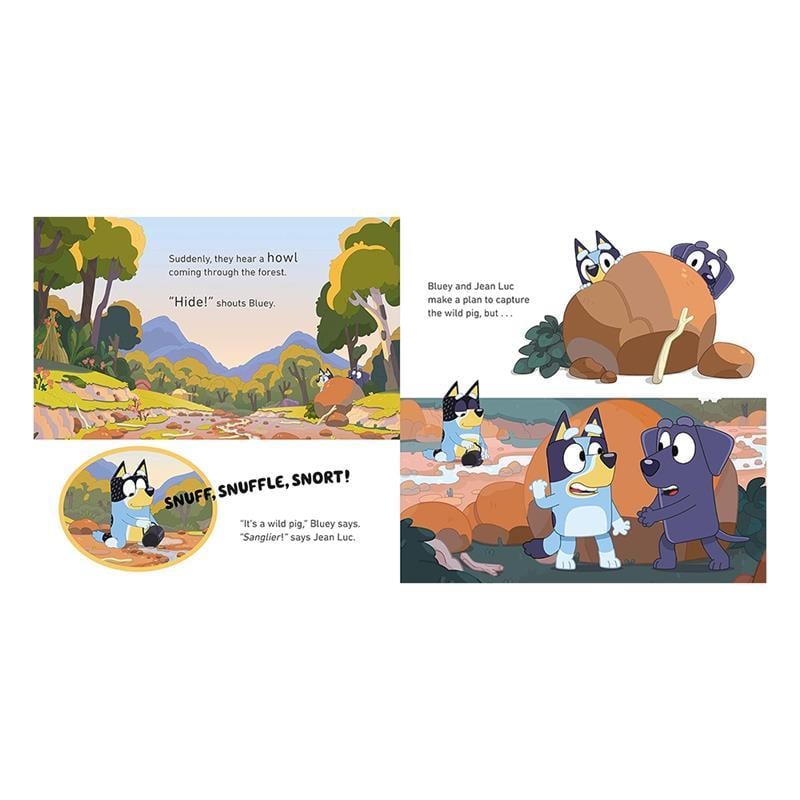 Bluey - Camping - Paperback