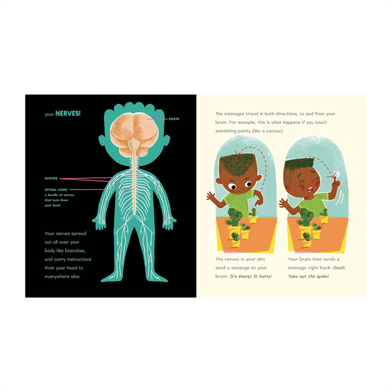 Dr Roopas Body Books - The Brilliant Brain