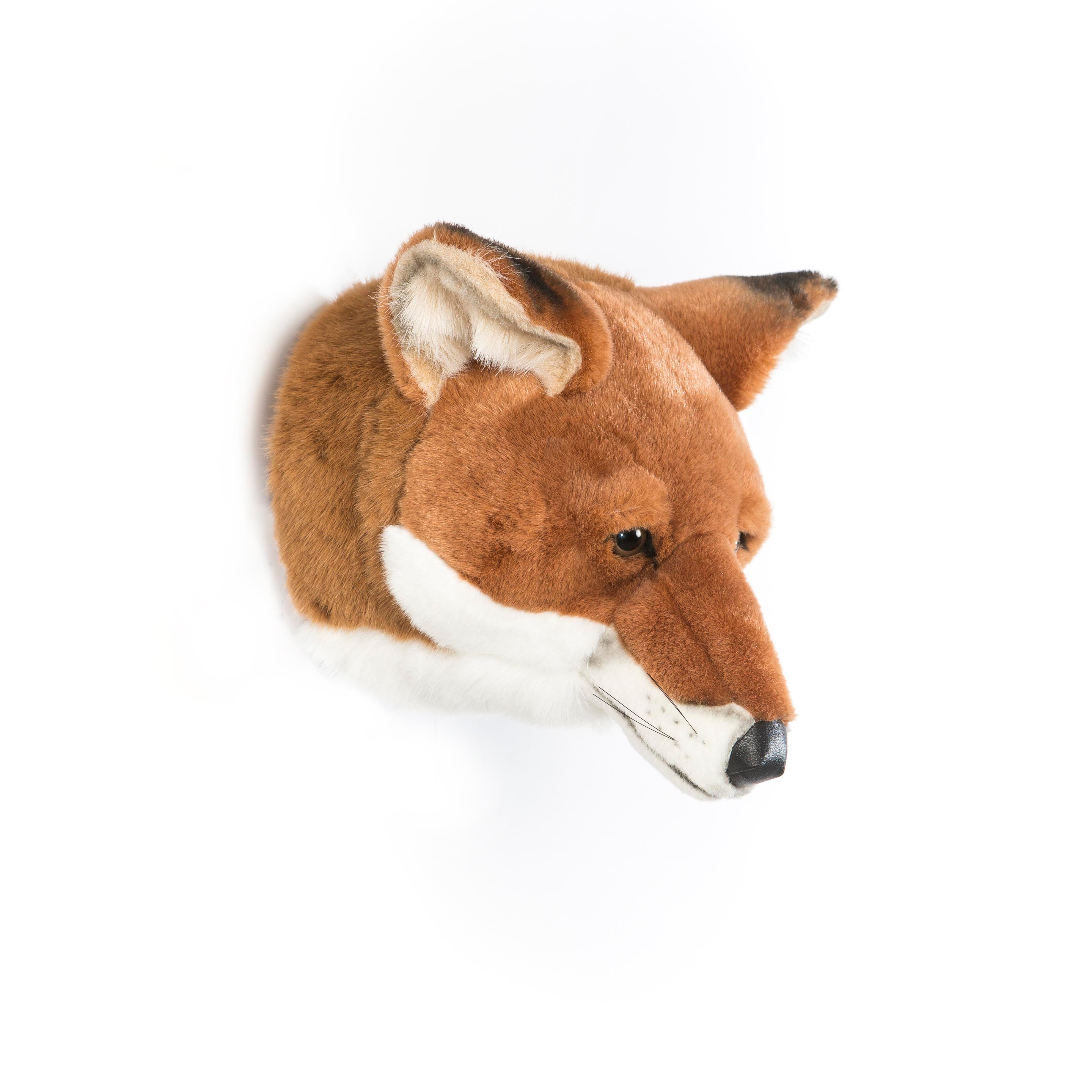 Duvar Aksesuarı, Tilki Peluş Duvar Büstleri Wild & Soft