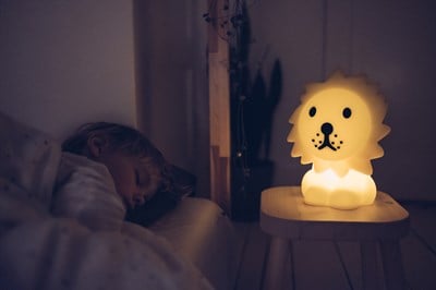 Mr. Maria Lion Lamba First Light Çocuk Odası Aksesuarları