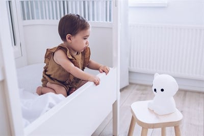 Mr. Maria Miffy Lamba Boris Light Aydınlatma