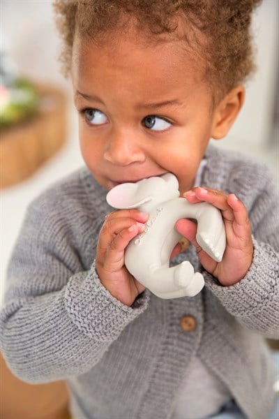 Nelly The Elephant  Bilezik Oyuncak