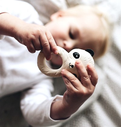 Panda Diş Kaşıyıcı