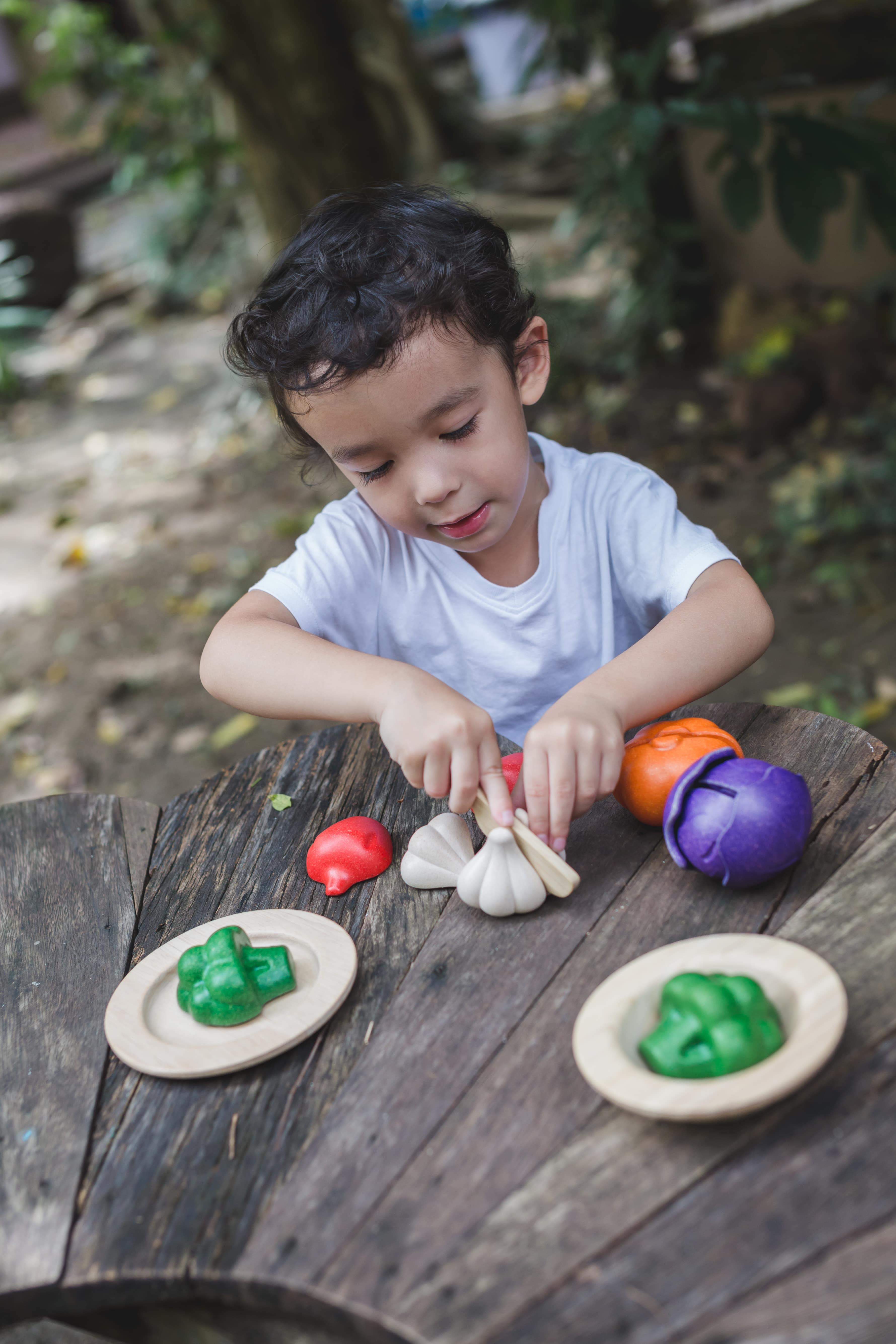 Renkli Sebze Seti Hediye Setleri plantoys