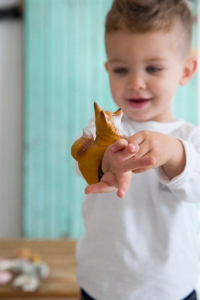 Rob The Fox Bilezik Diş Kaşıyıcı