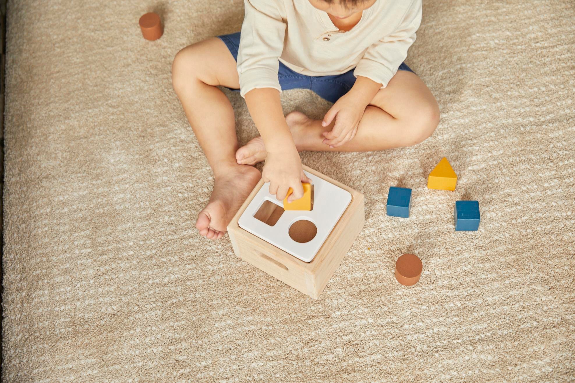 Şekil Kutusu Ahşap Oyuncaklar plantoys
