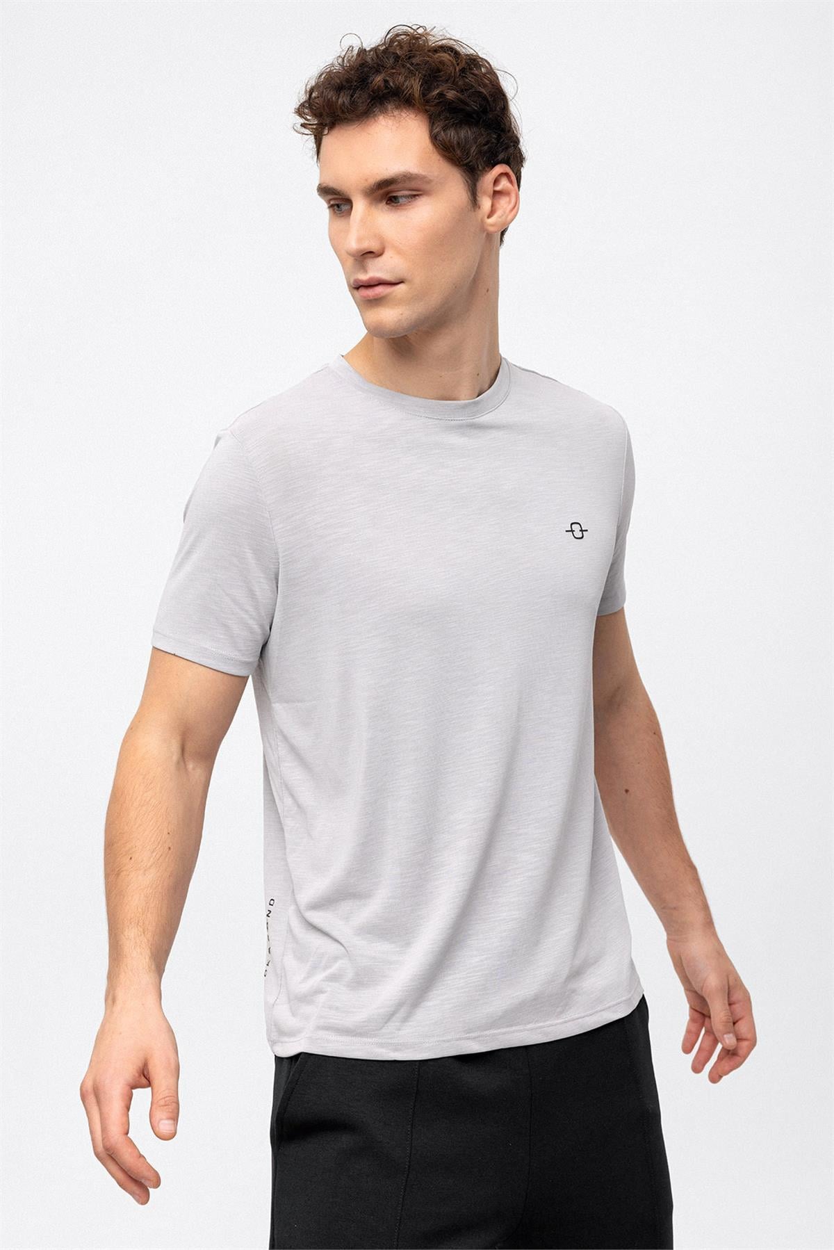 Açık Gri Bisiklet Yaka Regular Fit Tişört