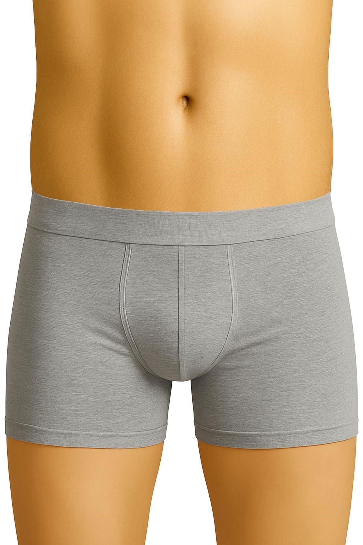 Arias Closet Gri MI Emay 6800 Erkek Boxer