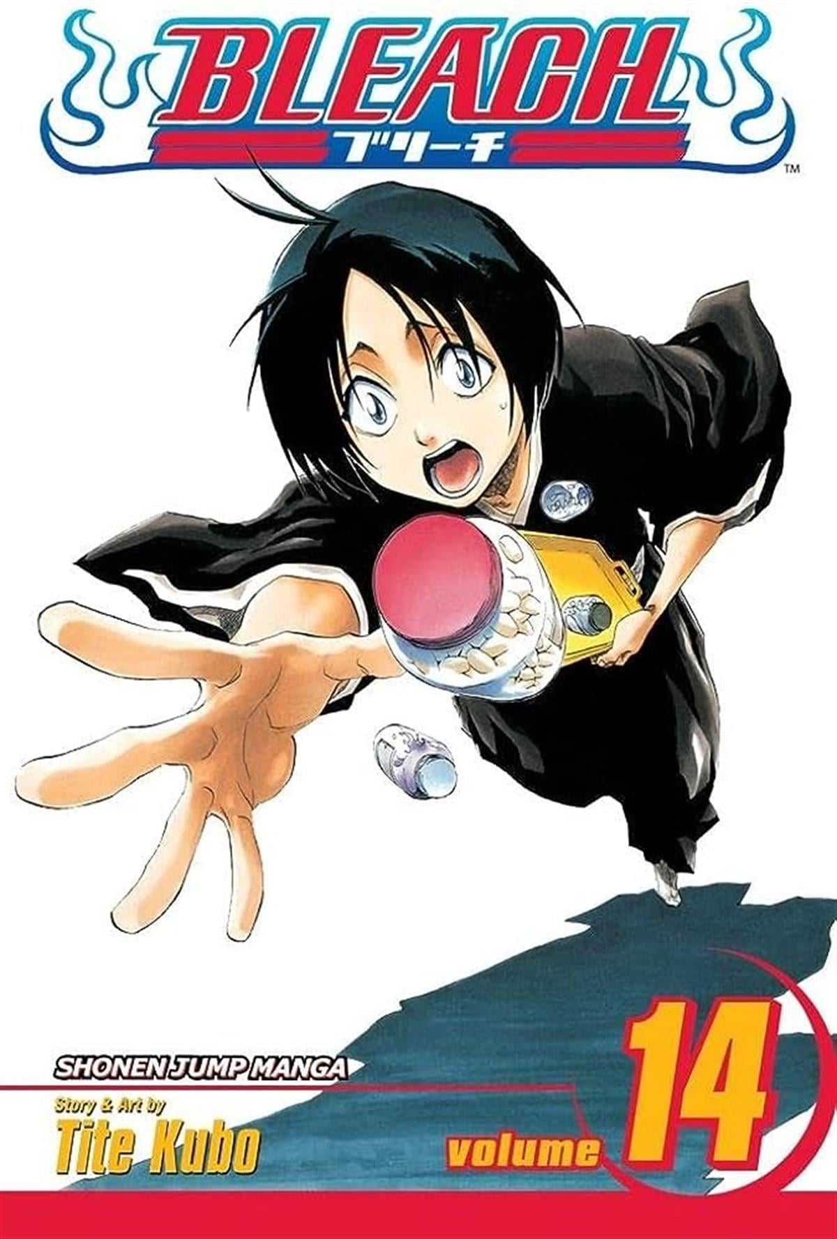 bleach-14.cilt-0b-c2c.jpg