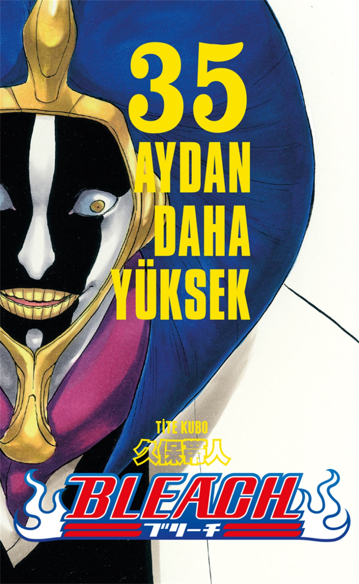 Bleach 35.Cilt