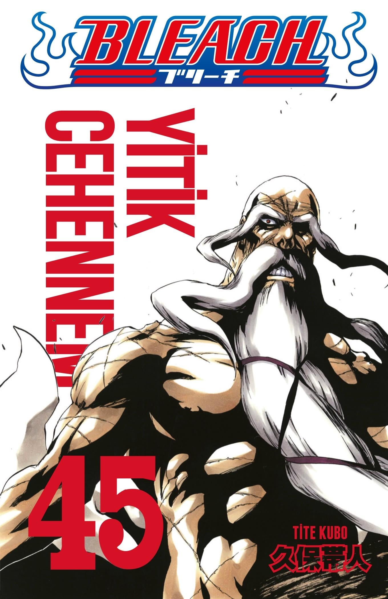 Bleach 45.Cilt