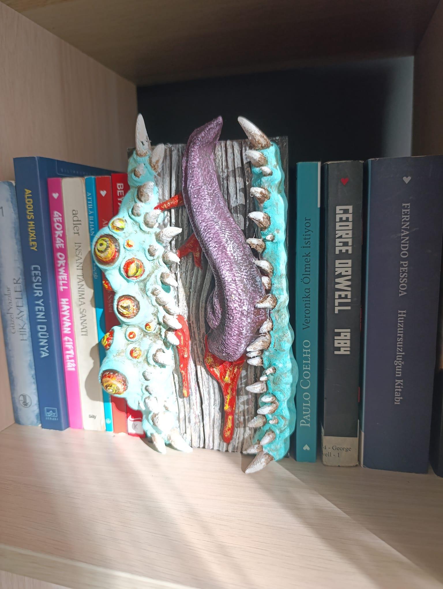 Book Nook Mimic