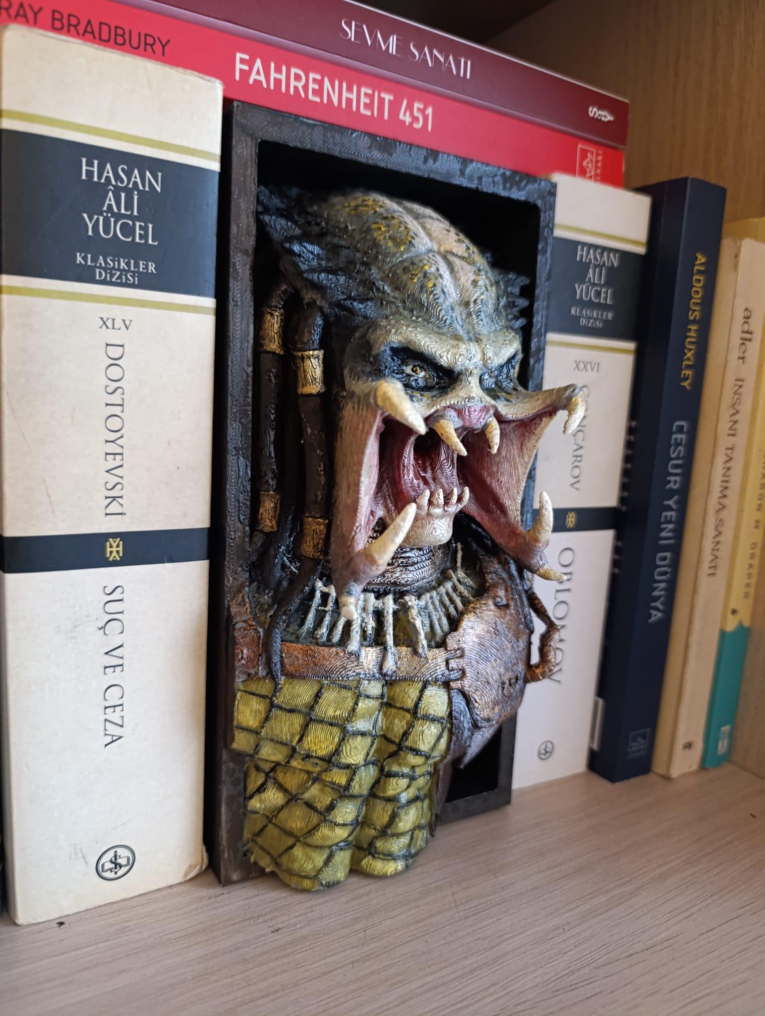 Book Nook Predator