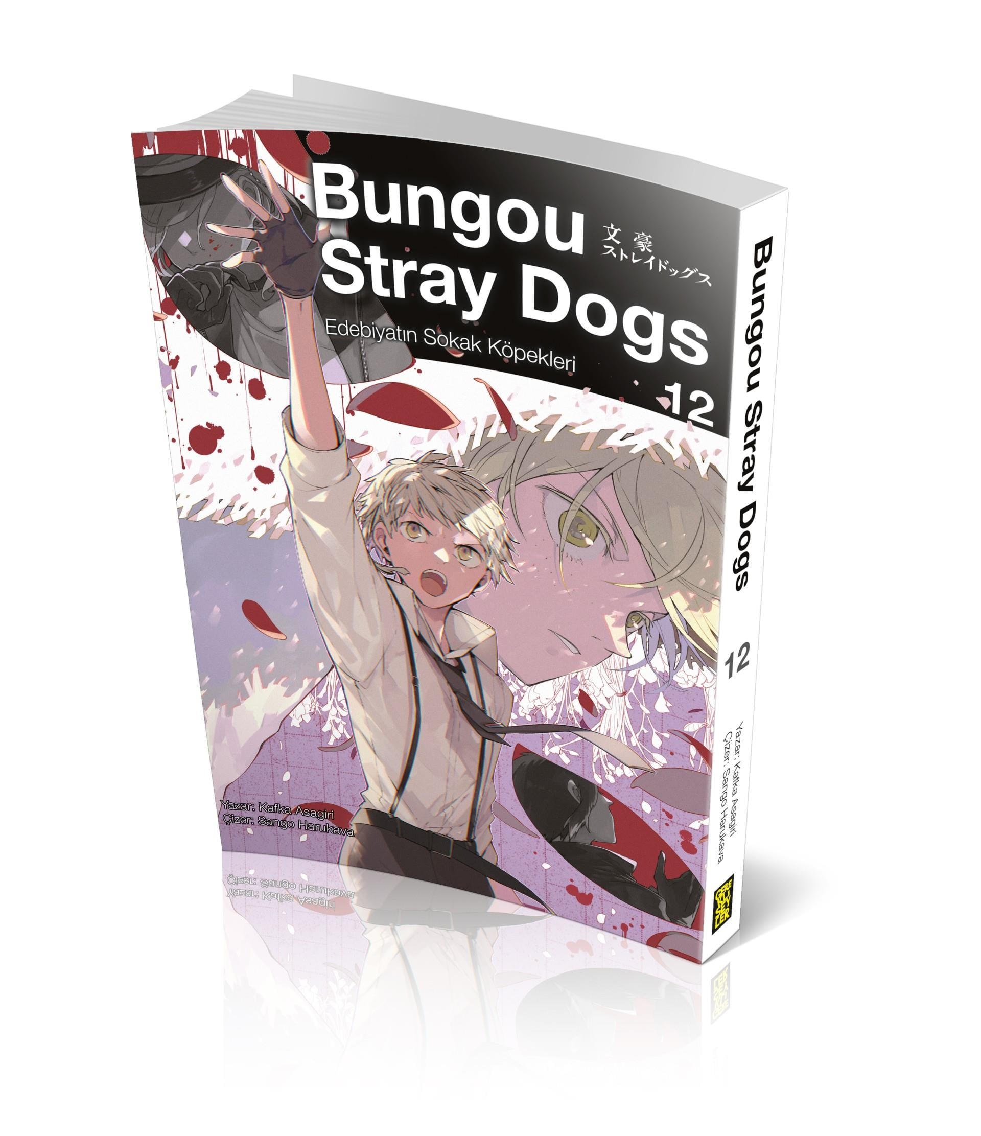 Bungou Stray Dogs 12.Cilt