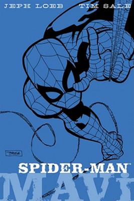 renkler-serisi-spider-man-mavi-24-12f.jpg
