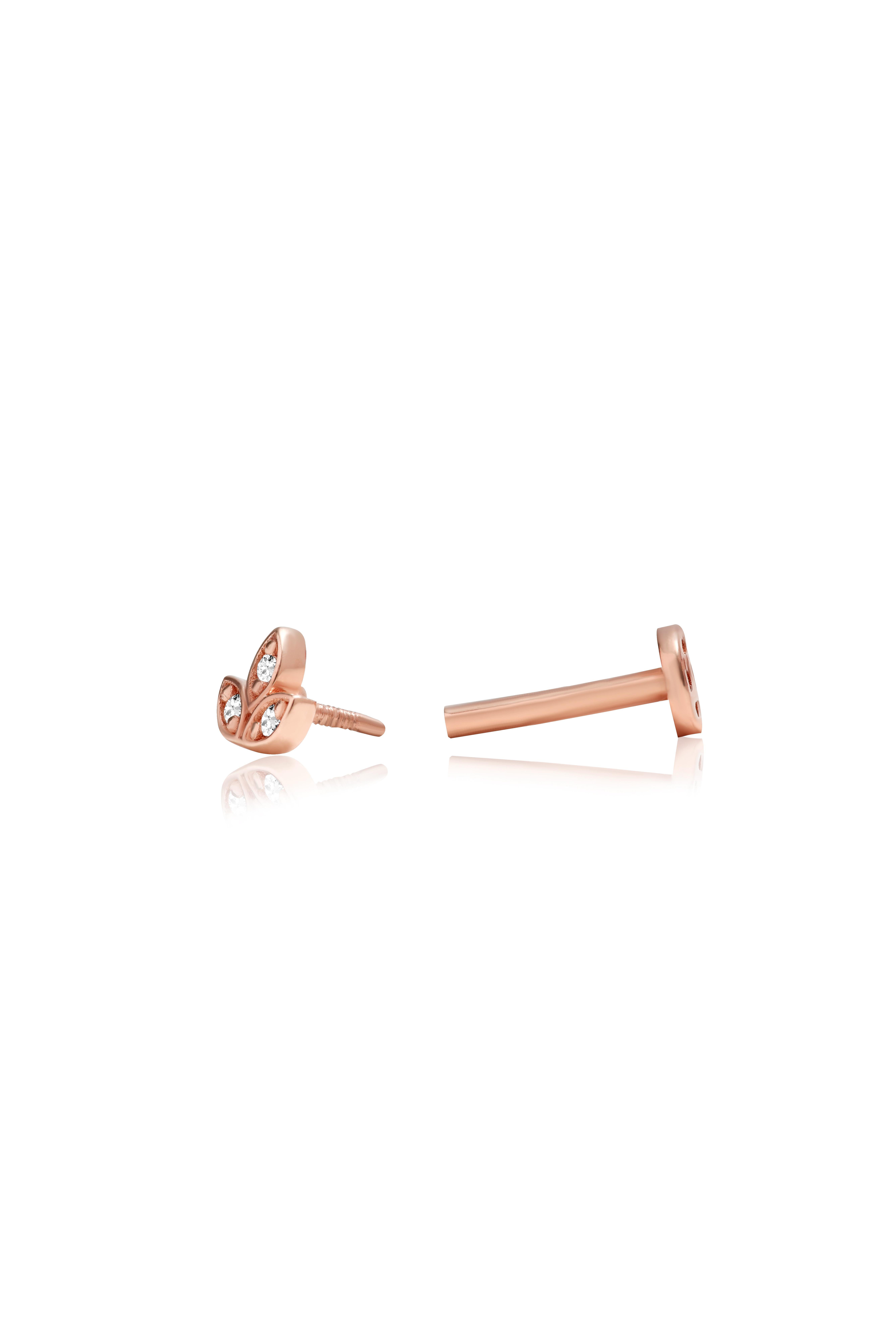 Lotus Tragus