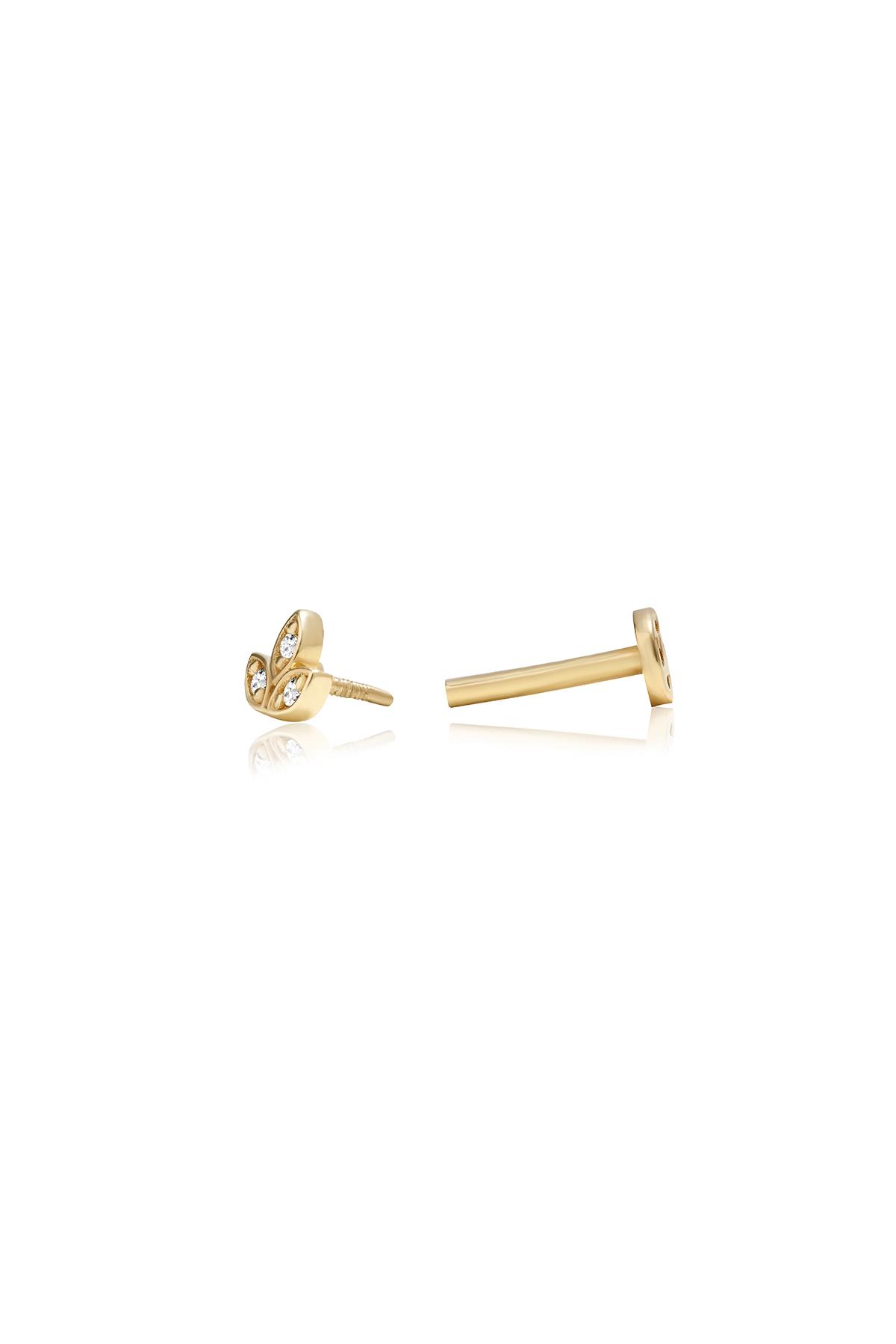 Lotus Tragus