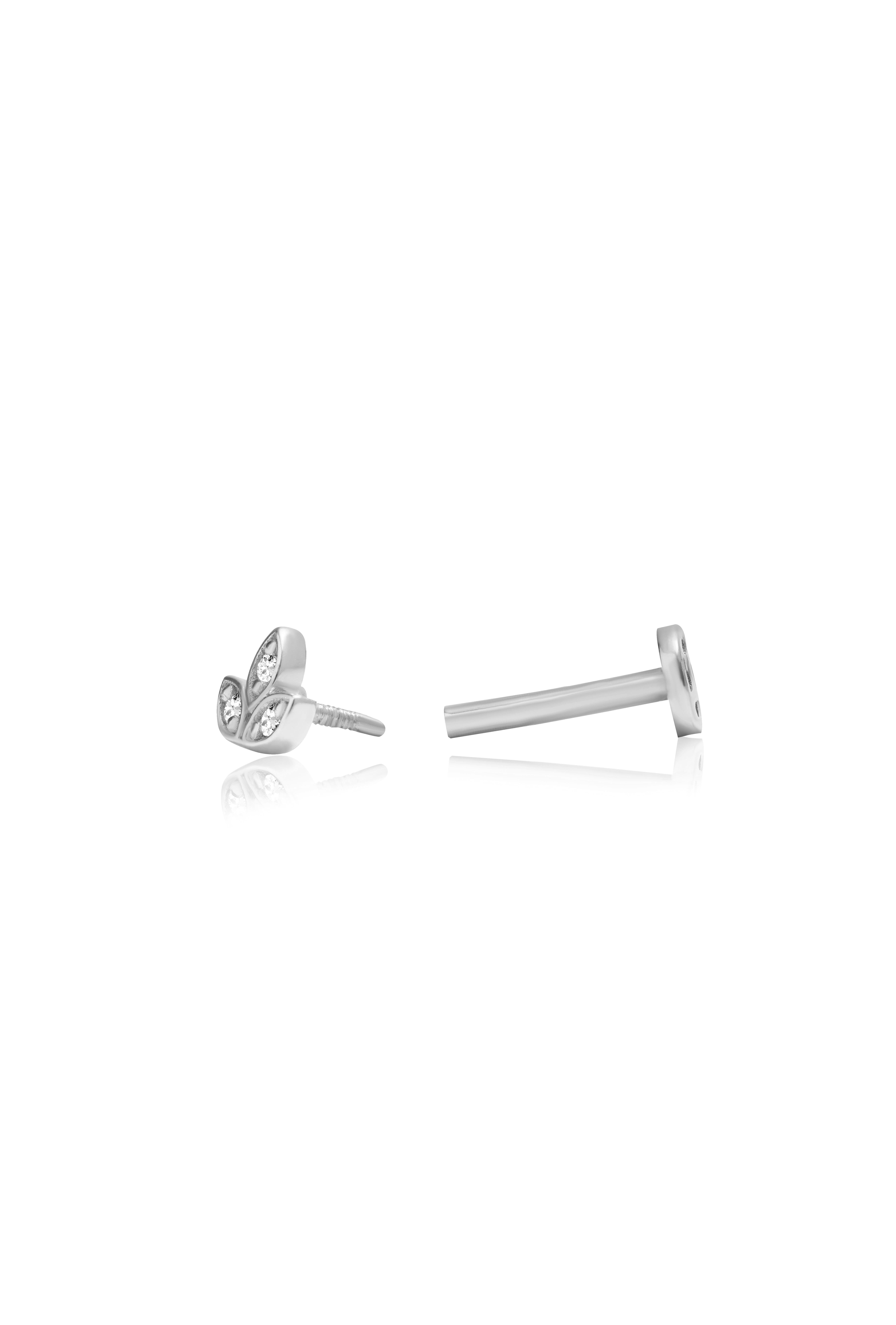 Lotus Tragus