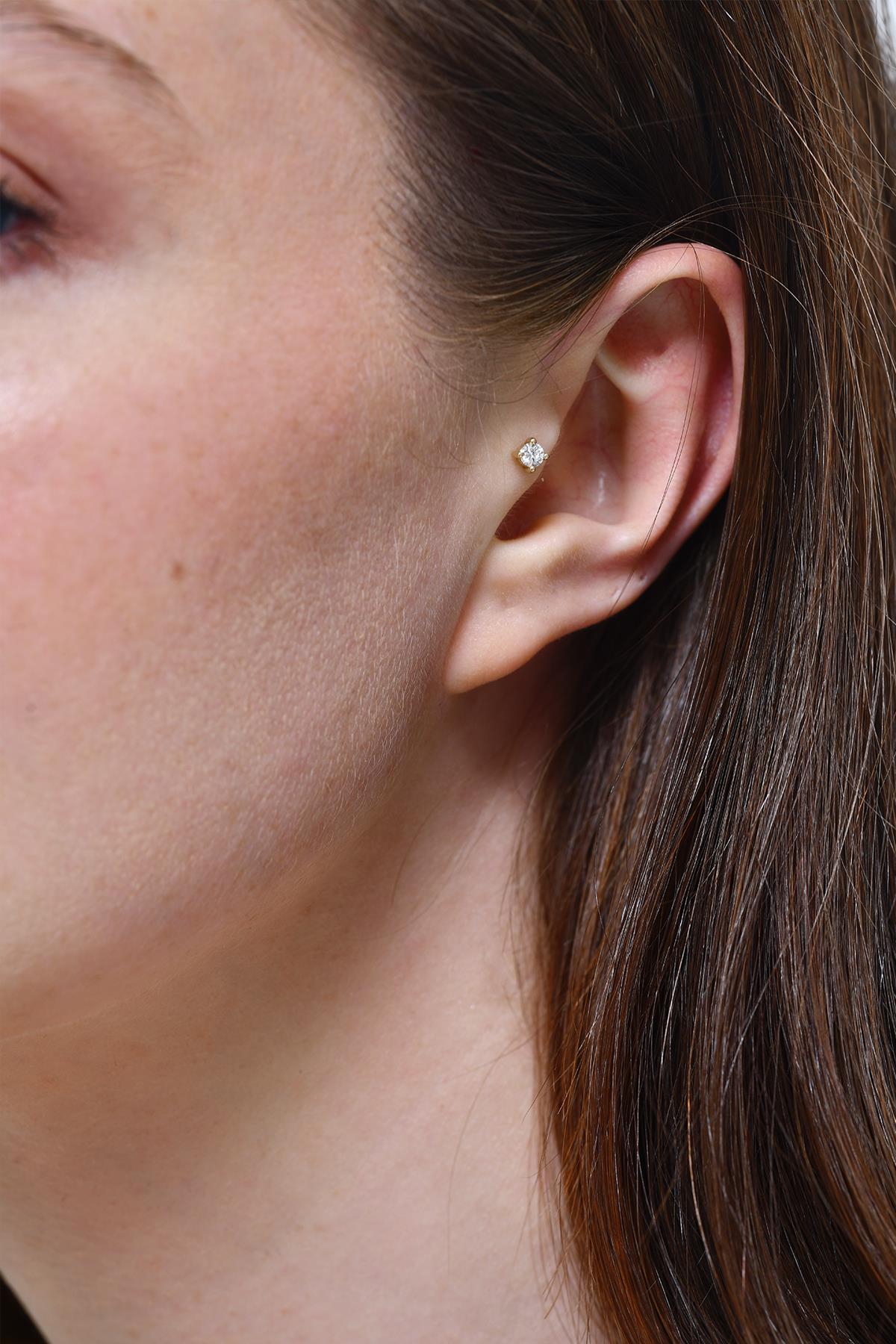 Tektaş Tragus