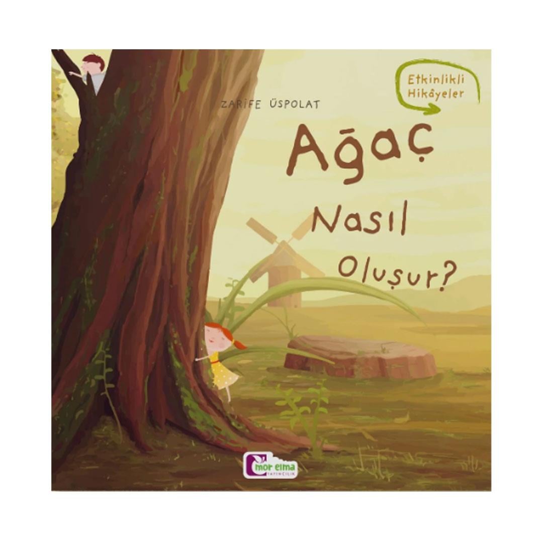 Ağaç Nasıl Oluşur?