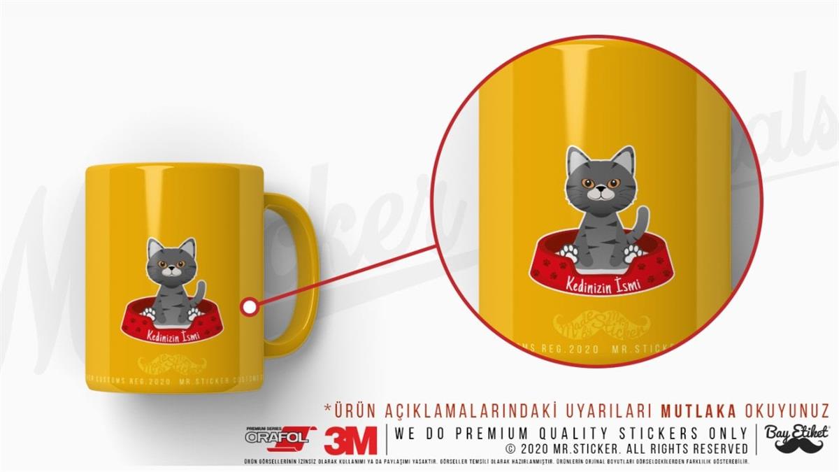 ANCT32 Gri Tekir Kedi Etiketi Seti - Kedinizin Ismine Ozel