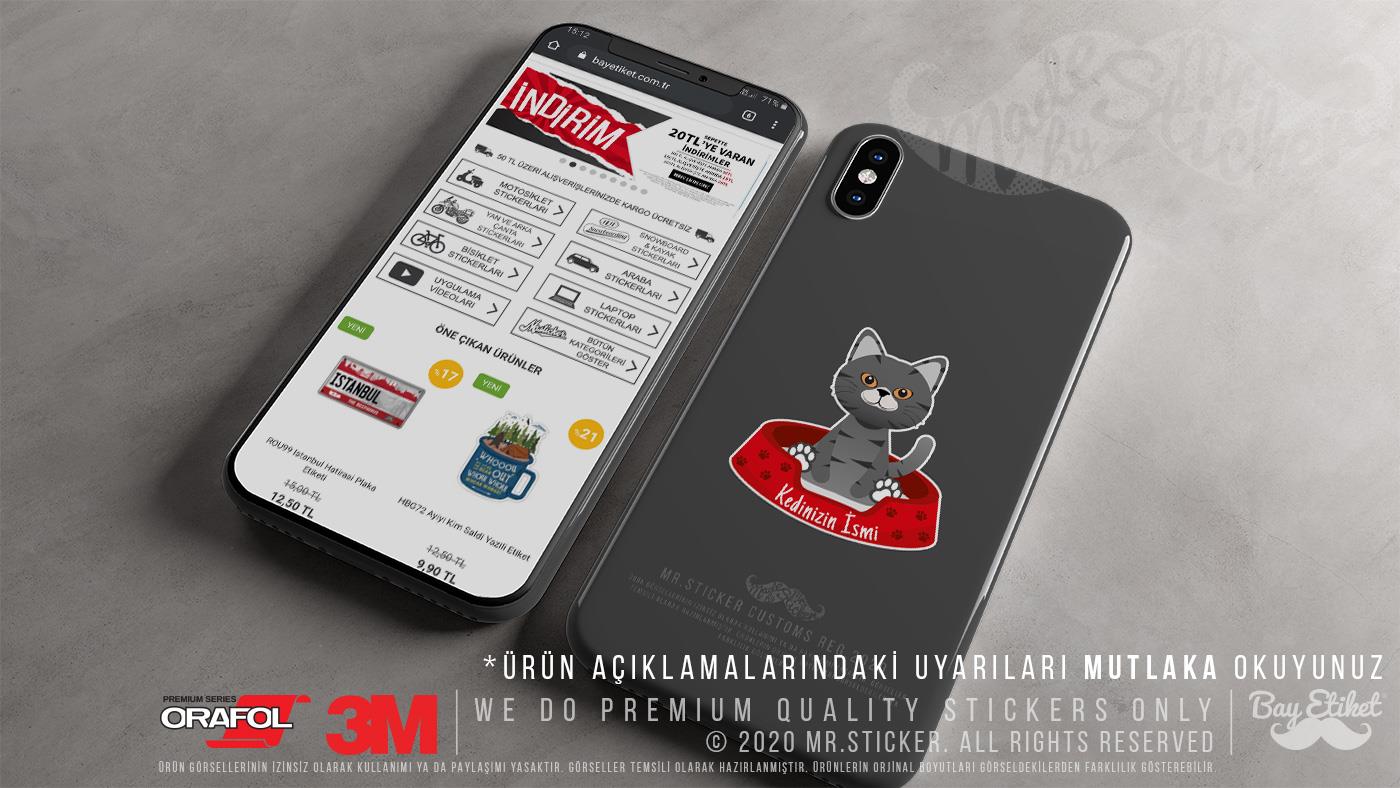 ANCT32 Gri Tekir Kedi Etiketi Seti - Kedinizin Ismine Ozel