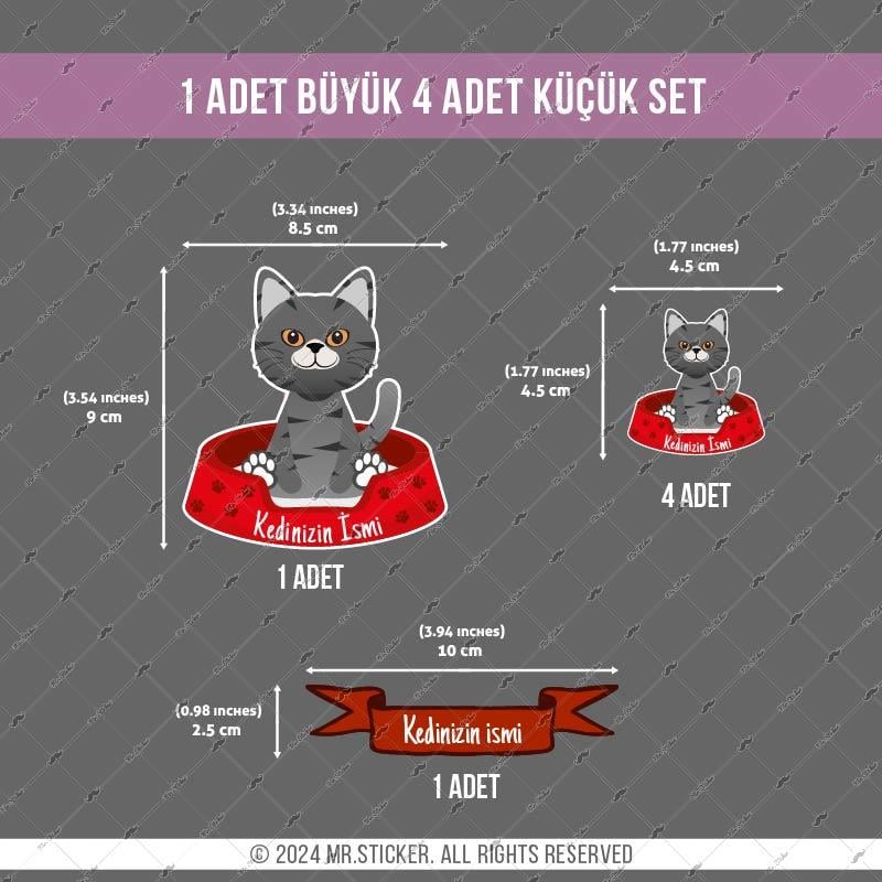 ANCT32 Gri Tekir Kedi Etiketi Seti - Kedinizin Ismine Ozel