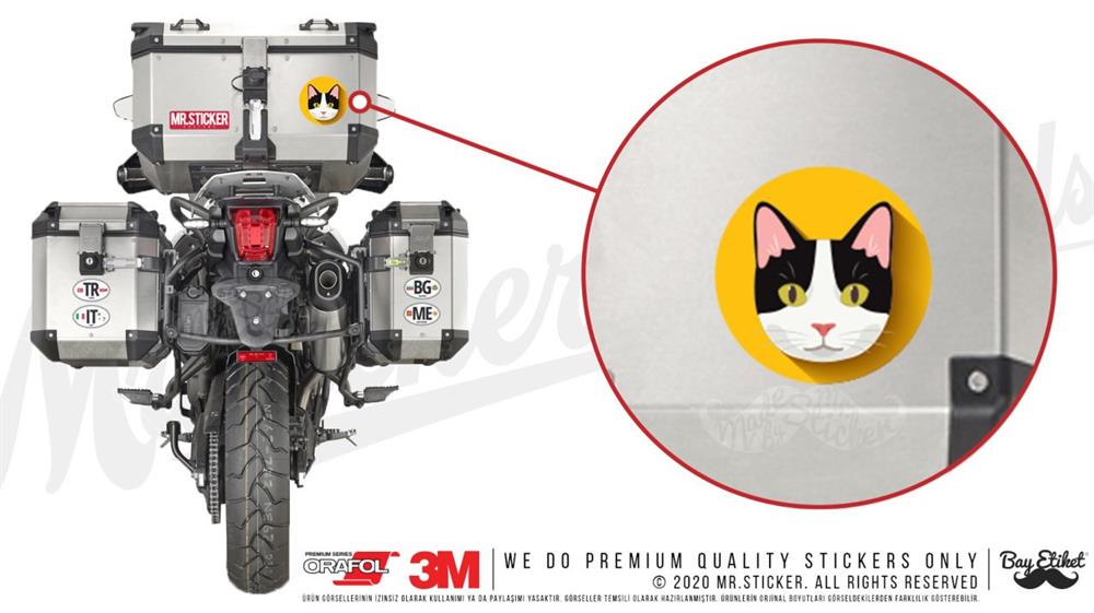 ANCT8- Siyah Beyaz Kedi Etiketi