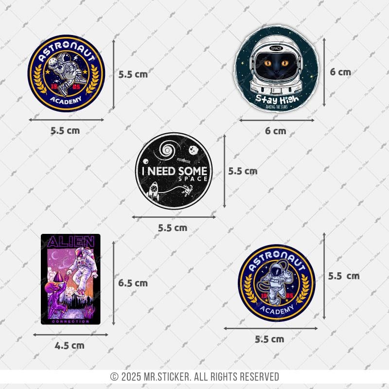 BDLS30 Küçük Boy 10lu Sticker Seti