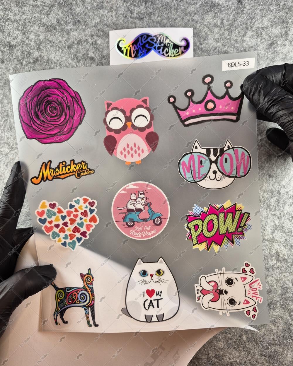 BDLS33 Küçük Boy 10lu Sticker Seti