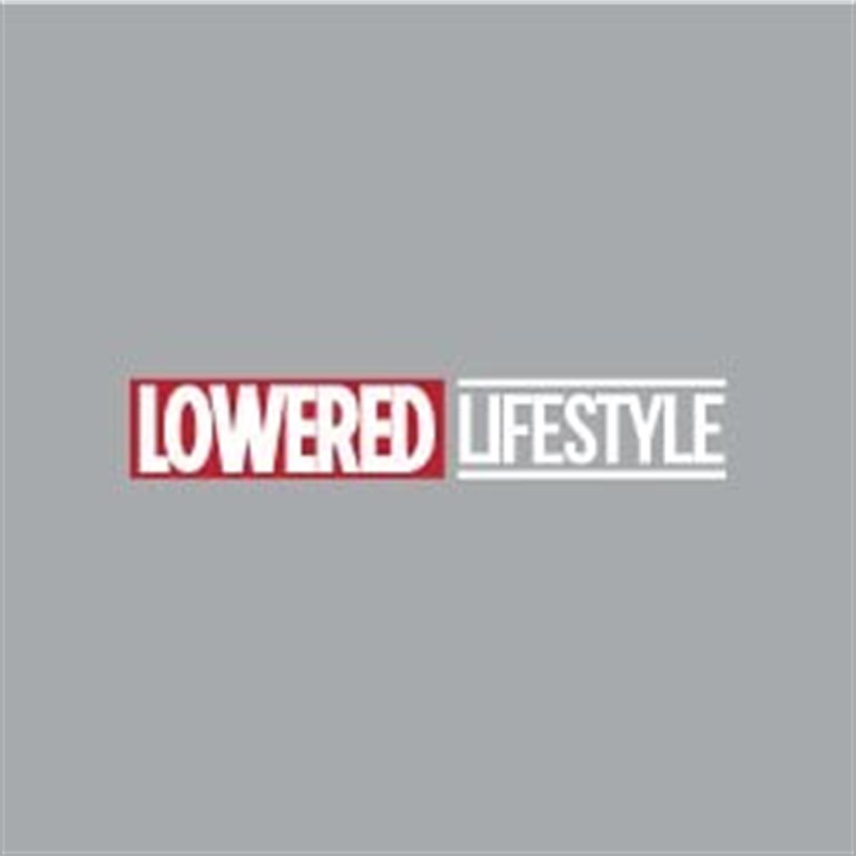 CAR27 Alcaltilmis Hayat Stili (Lowered Lifestyle) Yazili Etiket