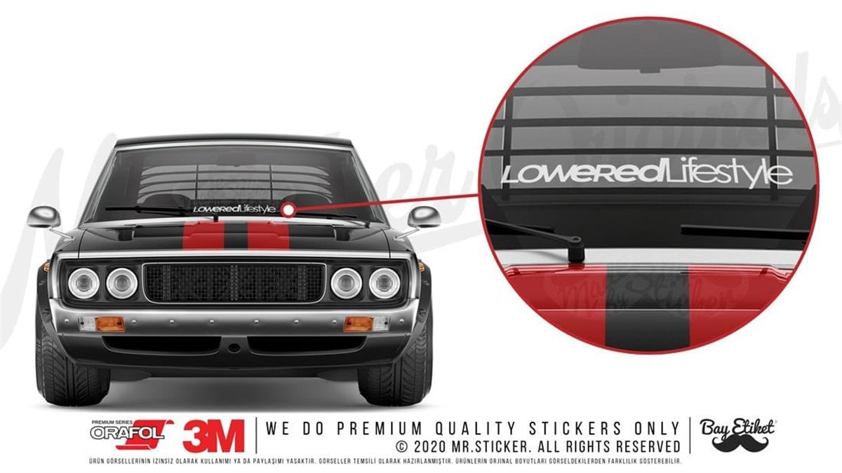 CAR29 Alcaltilmis Hayat Stili (Lowered Lifestyle)V1 Yazili Etiket