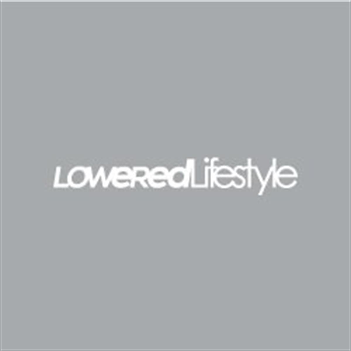 CAR29 Alcaltilmis Hayat Stili (Lowered Lifestyle)V1 Yazili Etiket