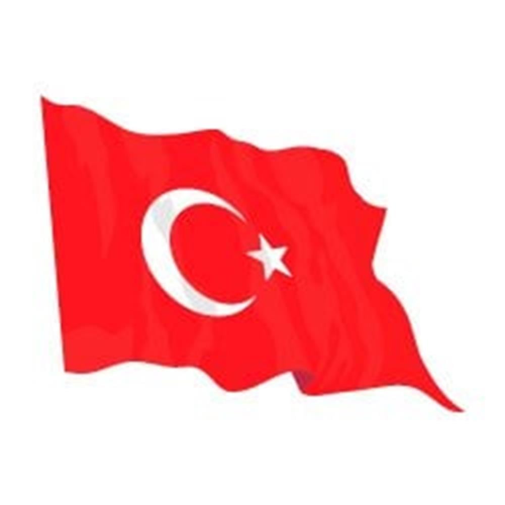 CFL13 Gercekci Efekt - Dalgalanan Turk B. Etiketi