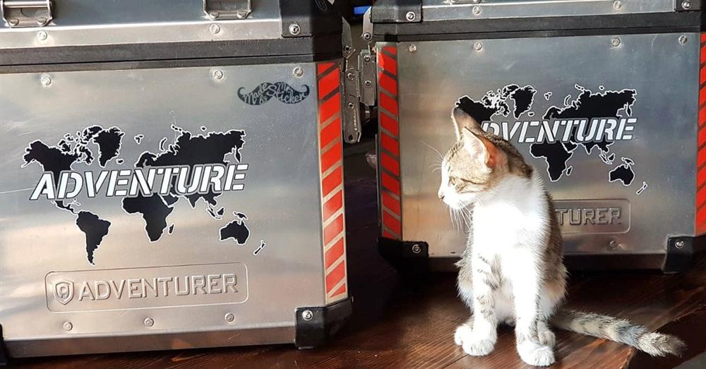CSE16 Reflektif Adventure Yazılı Dunya Haritasi