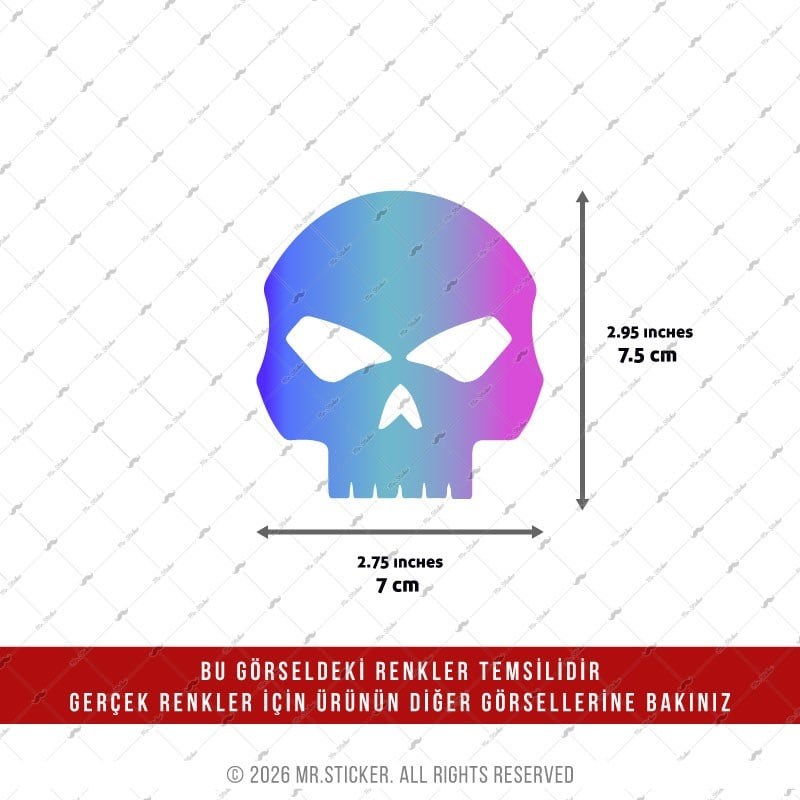 CSFT6 Renk Değiştiren Seri Kurukafa Etiketi