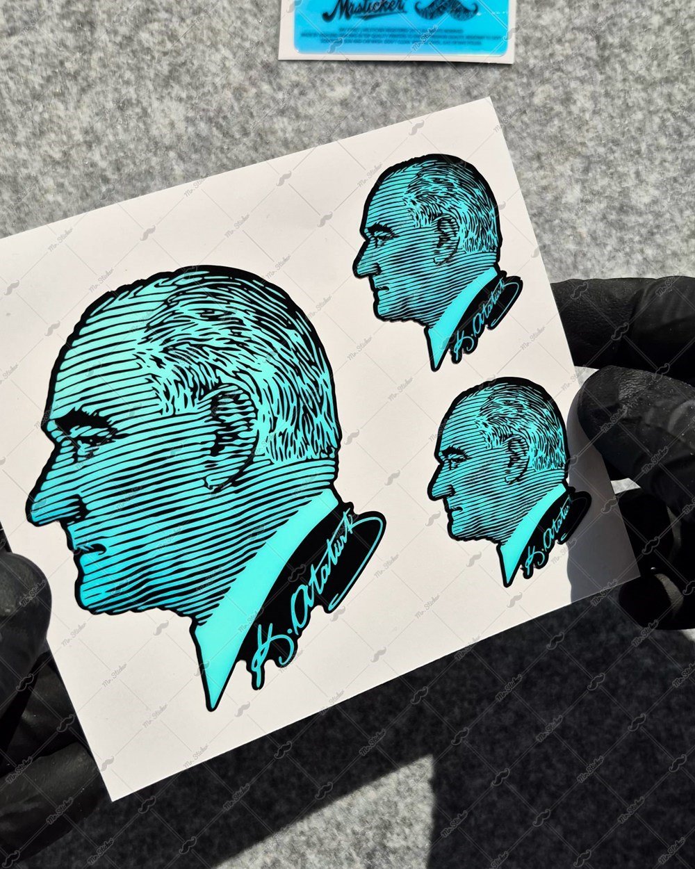 CSFT8 Renk Değiştiren Seri Ataturk Cizgi Calisma Etiket Seti