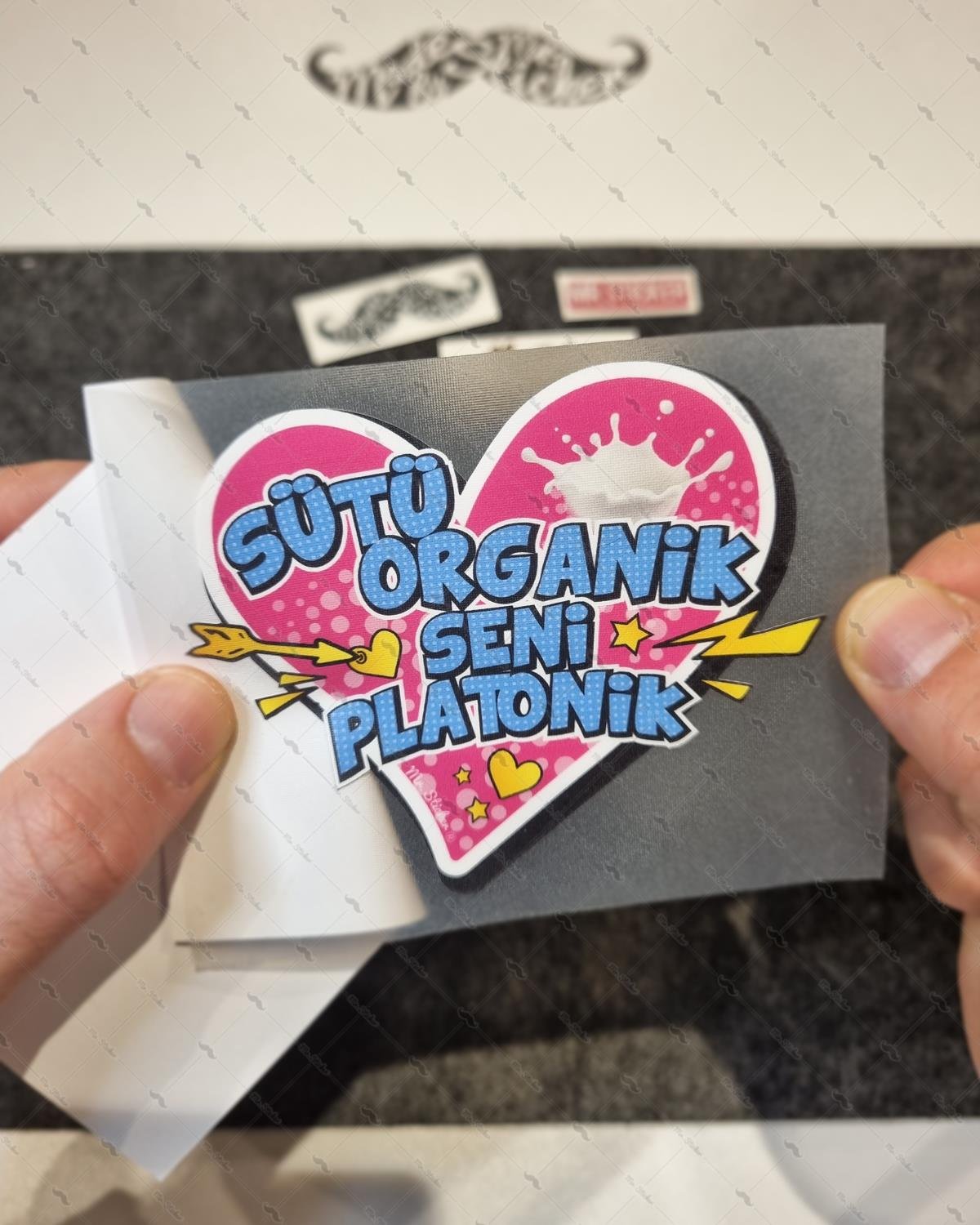 ESP16 Sutu Organik Seni Platonik