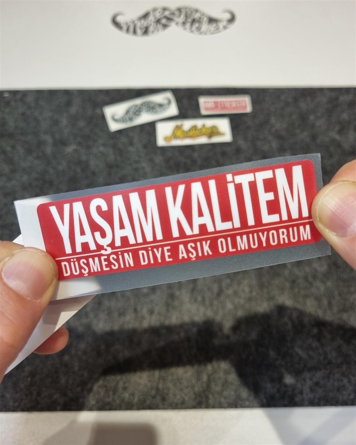 ESP44 V3 Yasam Kalitem Dusmesin Yazili Etiket