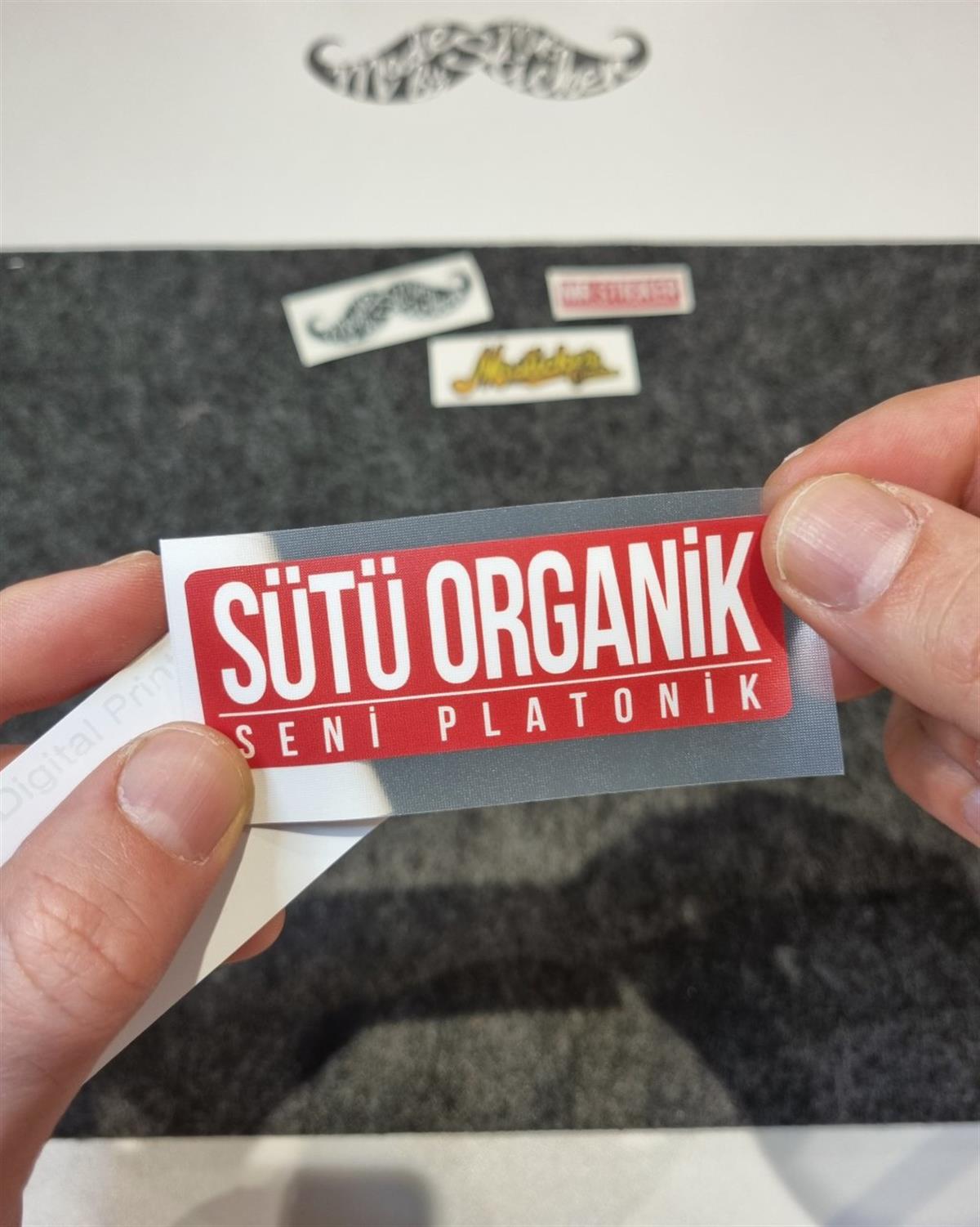 ESP56 V3 Sutu Organik Seni Platonik