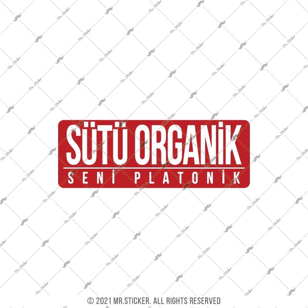 ESP56 V3 Sutu Organik Seni Platonik