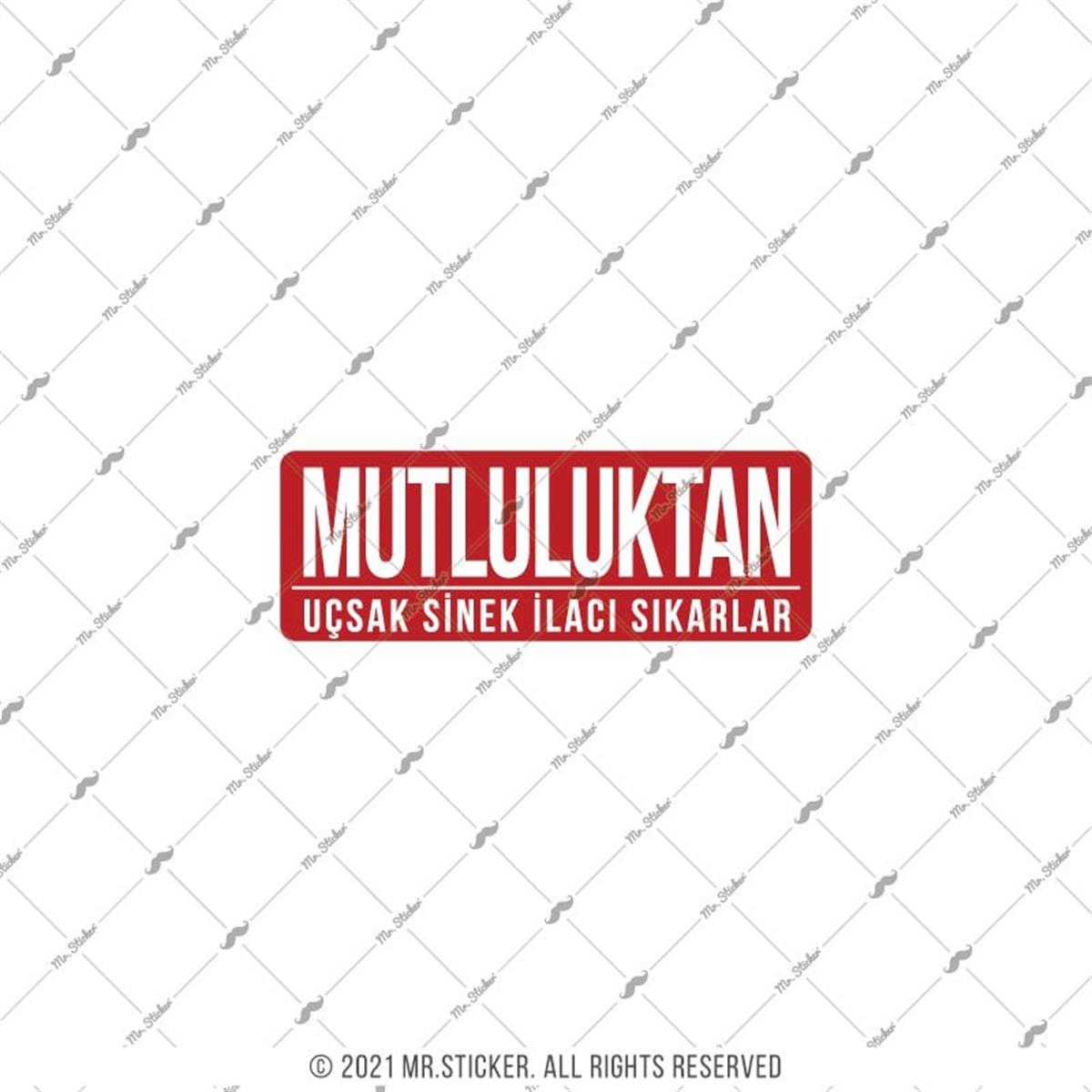 ESP65 V3 Mutluluktan Ucsak